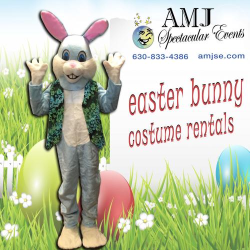 Bunny Costume Rental