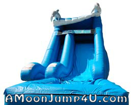 18' Dolphin Themed Inflatable Water Slide Rental