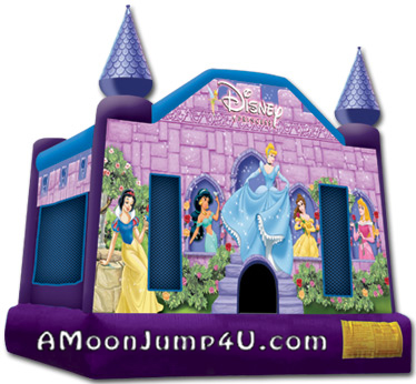 Disney's Princess Castle 