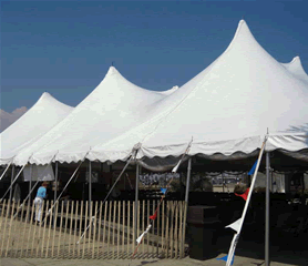 Tent Rentals in Chicago - 20x40 Canopy Tent