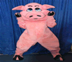 Pig Costume Rental